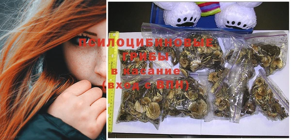 прущие крисы Гусиноозёрск