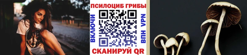 Галлюциногенные грибы Psilocybine cubensis  Купить закладки  Калачинск 